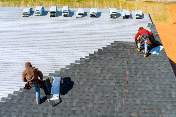 Best Roof Gutter Cleaning  in Williamston, NC