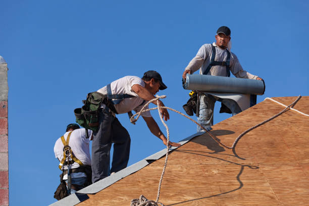 Best Roof Gutter Cleaning  in Williamston, NC