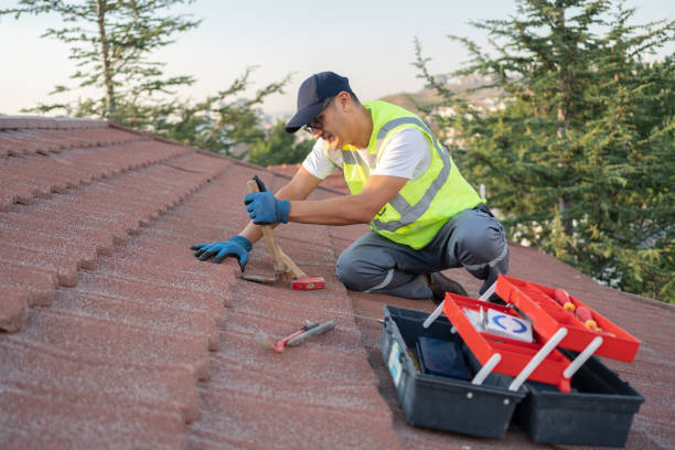 Quick and Trustworthy Emergency Roof Repair Services in Williamston, NC